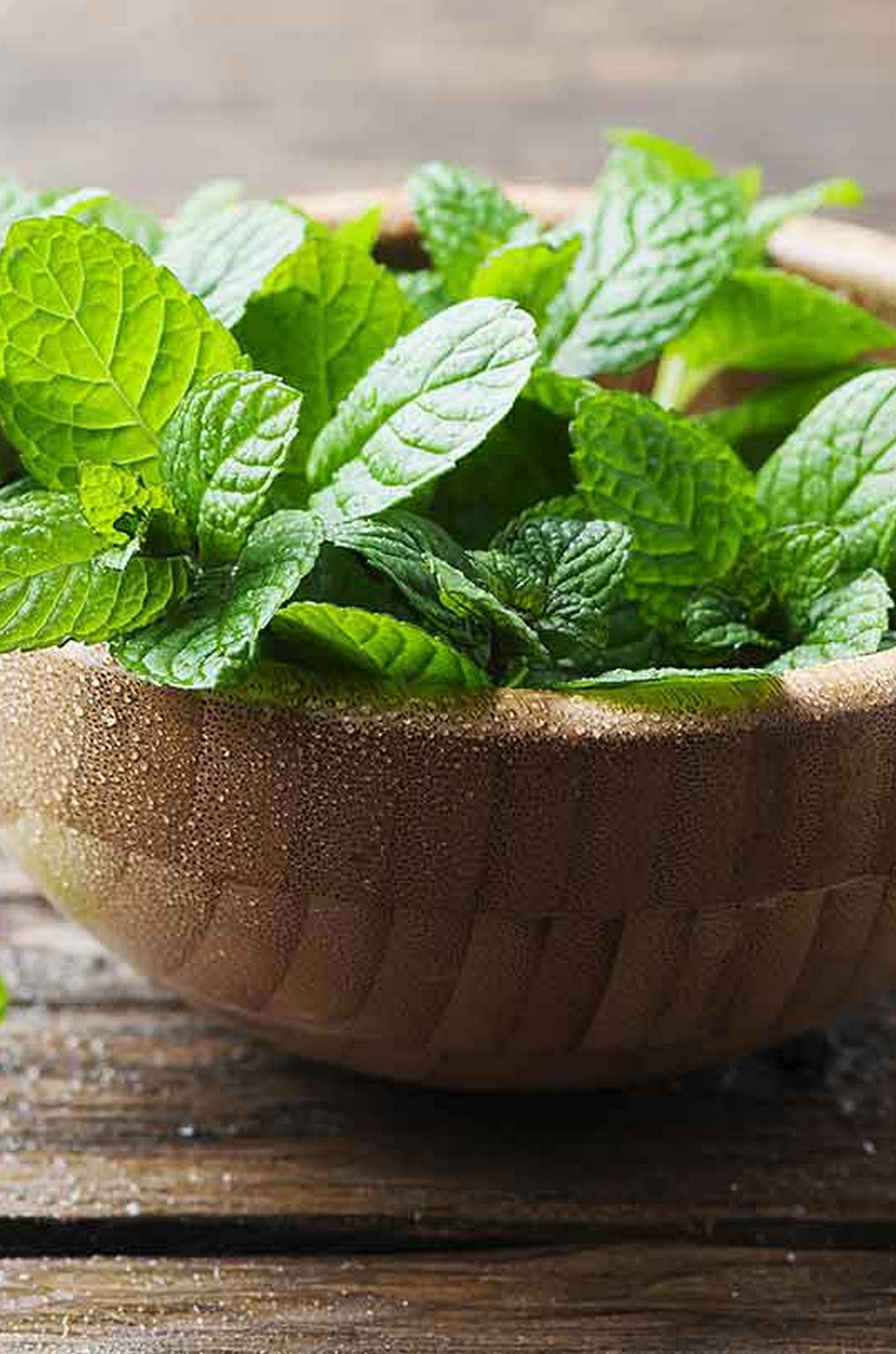  23 Benefits Of Peppermint Leaves For Skin, Hair, And Health